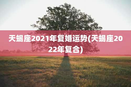 天蝎座2021年复婚运势(天蝎座2022年复合)
