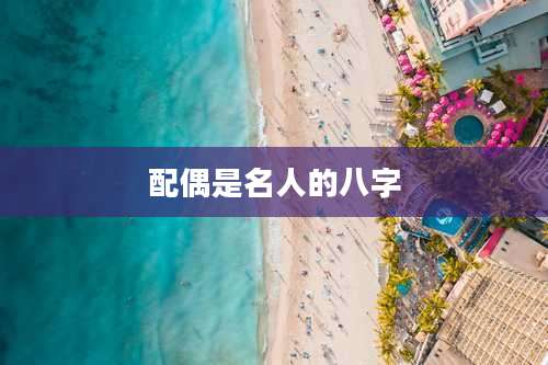 配偶是名人的八字