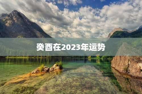癸酉在2023年运势