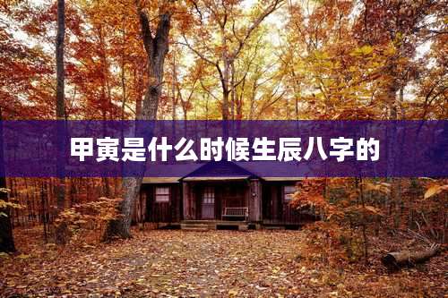 甲寅是什么时候生辰八字的