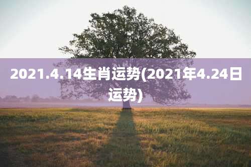 2021.4.14生肖运势(2021年4.24日运势)