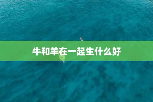 牛和羊在一起生什么好