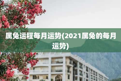 属兔运程每月运势(2021属兔的每月运势)