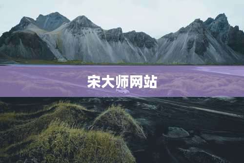 宋大师网站