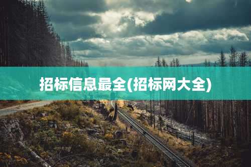 招标信息最全(招标网大全)