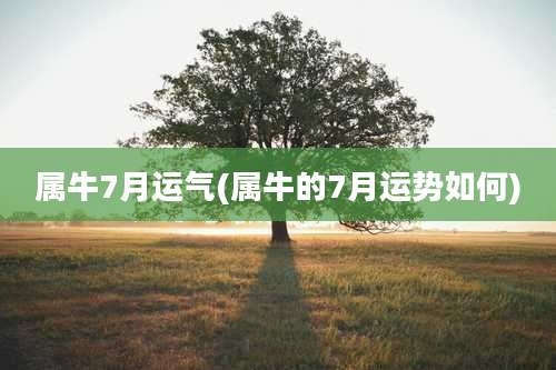 属牛7月运气(属牛的7月运势如何)