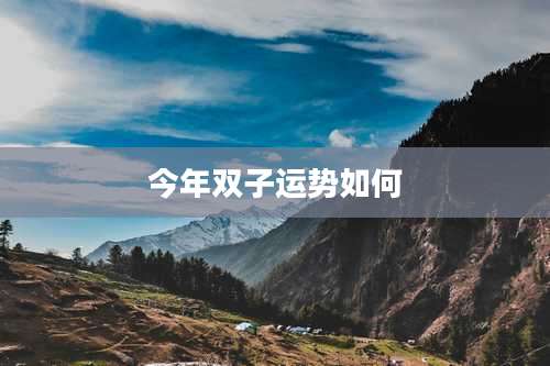 今年双子运势如何