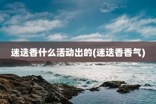 迷迭香什么活动出的(迷迭香香气)