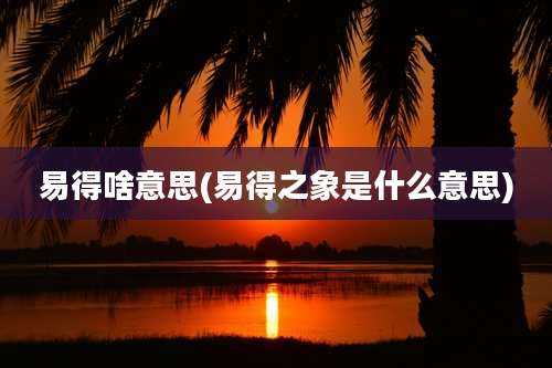 易得啥意思(易得之象是什么意思)
