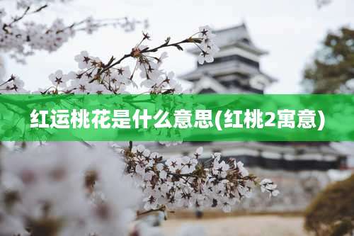 红运桃花是什么意思(红桃2寓意)