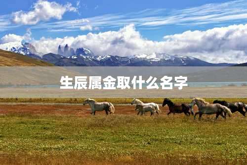 生辰属金取什么名字
