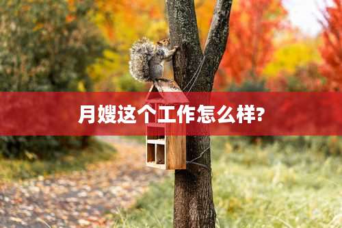 月嫂这个工作怎么样?