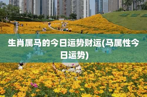 生肖属马的今日运势财运(马属性今日运势)