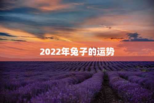 2022年兔子的运势