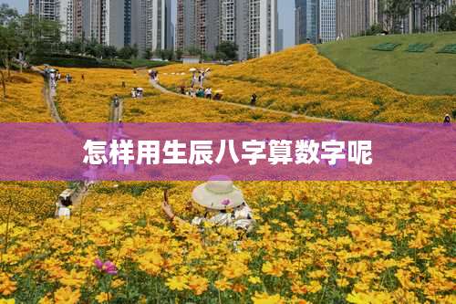 怎样用生辰八字算数字呢