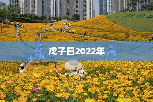 戊子日2022年