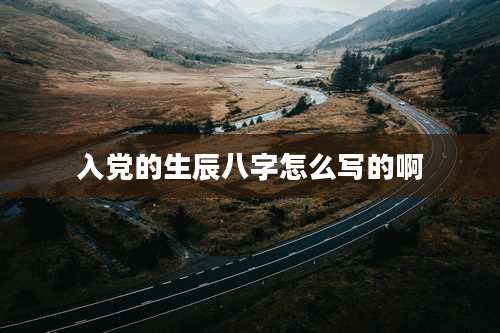 入党的生辰八字怎么写的啊