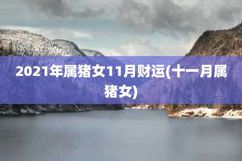 2021年属猪女11月财运(十一月属猪女)