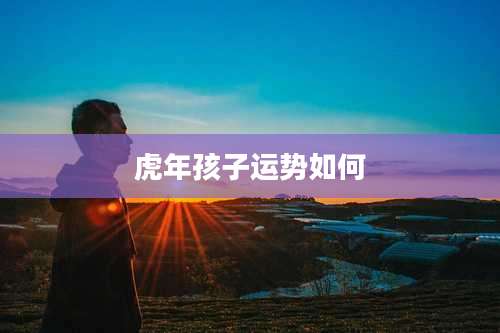 虎年孩子运势如何