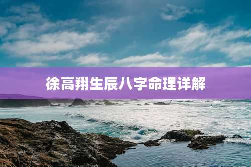 徐高翔生辰八字命理详解