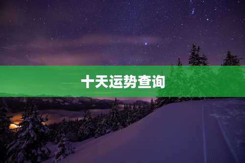 十天运势查询