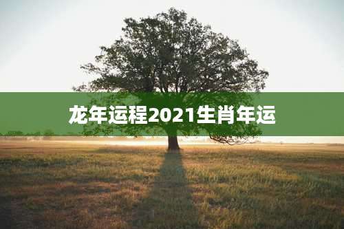 龙年运程2021生肖年运