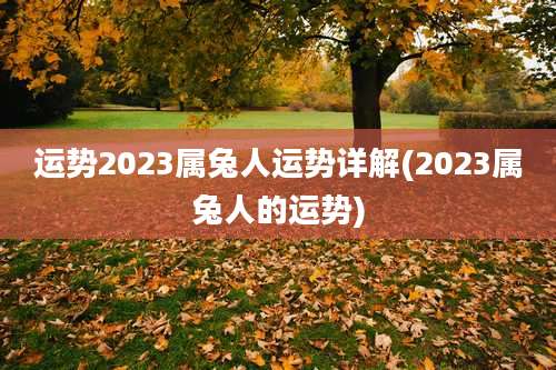 运势2023属兔人运势详解(2023属兔人的运势)