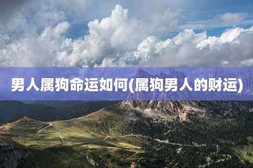 男人属狗命运如何(属狗男人的财运)