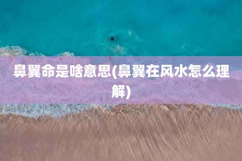 鼻翼命是啥意思(鼻翼在风水怎么理解)