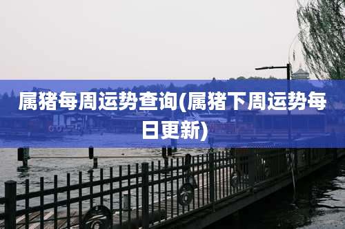 属猪每周运势查询(属猪下周运势每日更新)