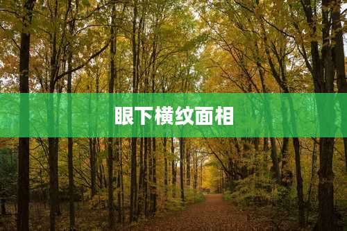 眼下横纹面相