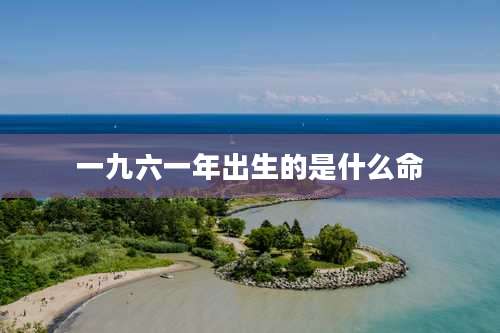 一九六一年出生的是什么命