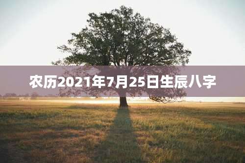 农历2021年7月25日生辰八字