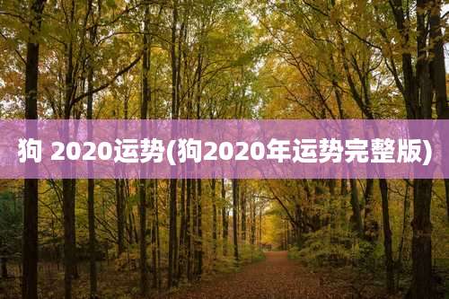 狗 2020运势(狗2020年运势完整版)