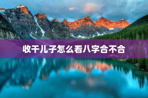 收干儿子怎么看八字合不合