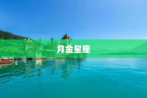 月金星座