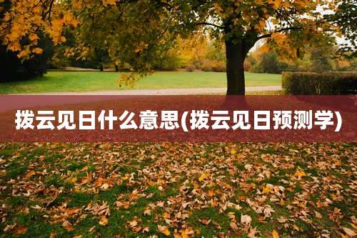 拨云见日什么意思(拨云见日预测学)