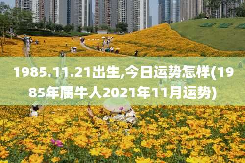 1985.11.21出生,今日运势怎样(1985年属牛人2021年11月运势)