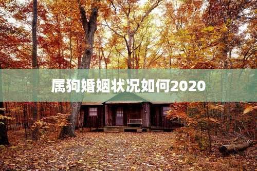 属狗婚姻状况如何2020