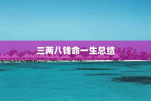 三两八钱命一生总结