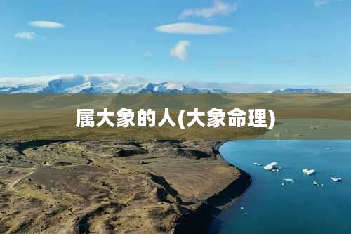 属大象的人(大象命理)