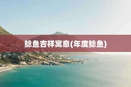 鲶鱼吉祥寓意(年度鲶鱼)