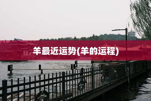 羊最近运势(羊的运程)