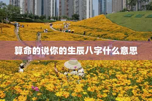 算命的说你的生辰八字什么意思
