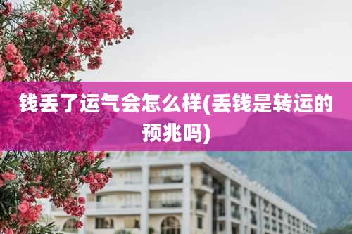 钱丢了运气会怎么样(丢钱是转运的预兆吗)