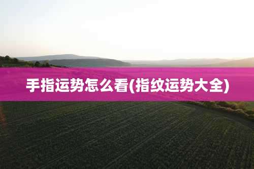 手指运势怎么看(指纹运势大全)