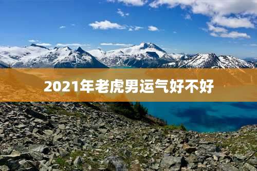 2021年老虎男运气好不好