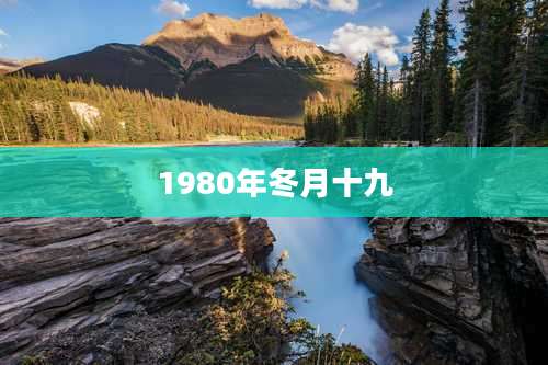 1980年冬月十九