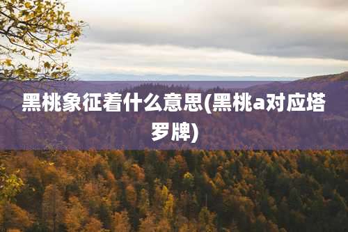 黑桃象征着什么意思(黑桃a对应塔罗牌)
