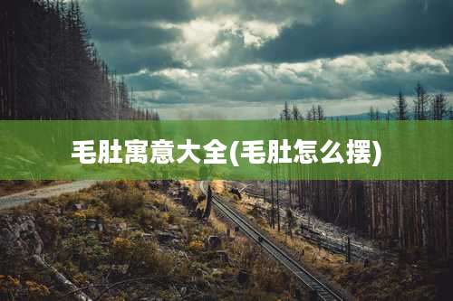 毛肚寓意大全(毛肚怎么摆)